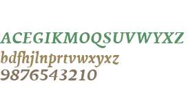 Ginkgo LT W04 Bold Italic