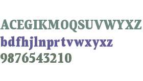 PF Centro Serif XCond Black