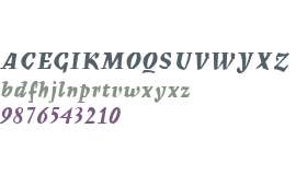 Mercurius W01 Bold Script