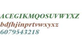 PSFournier Try Black