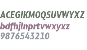 Compasso Condensed Test ExBd It Cond