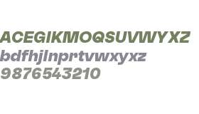 TRIAL Sagace BlackItalic