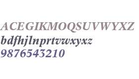 Informatics SSi Bold Italic