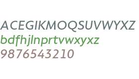 Compasso Test Medium Italic