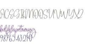 Signature Applicant