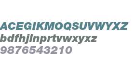12 pt. Helvetica* 96 Black Italic 16472