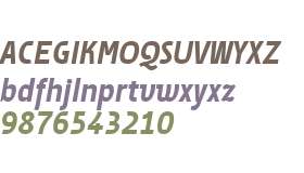 Suomi Sans W01 Medium Italic