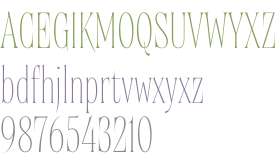 TRY Brillante Thin Condensed