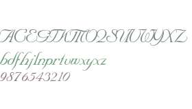 SNC Script - DGL Italic