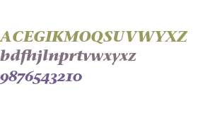 Stone Serif OS ITC Bold Italic