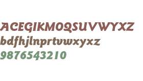 ITC Goudy Sans Std Black Italic