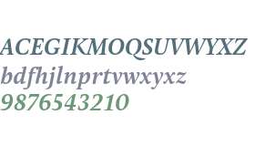 Pona W03 SemiBold Italic