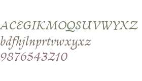 Newt Serif