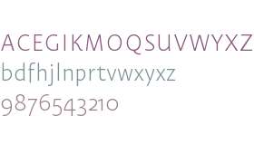 Test_Carolineale Light