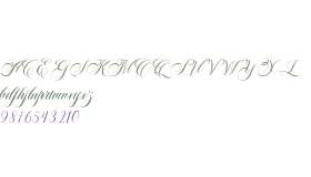 Everleigh Script