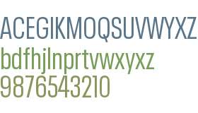 Neue Plak W05 Condensed Regular