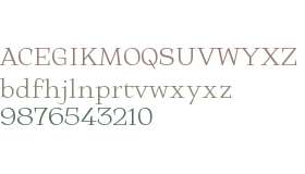 Halibut Serif