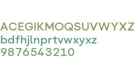 Flink Neue Text Test Medium