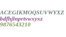 Liberation Serif Bold Italic V1