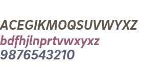 Brix Sans W01 Bold Italic