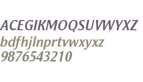 NatGrotesk Bold Italic W08 Rg