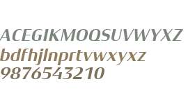 Xenois Semi W01 Bold Italic