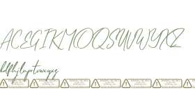 Dehally Brother PERSONAL USE OL