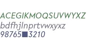 R-Flex Regular Italic