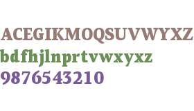 PF Centro Serif Cond Black