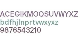 Copyright Bolditalic Studio Polyplast Medium Trial