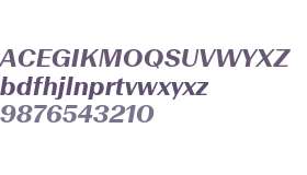 Beausite Fit Trial Bold Italic