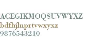 URW Bodoni W01 Medium Wide