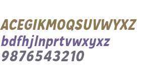Casual Memories Light Italic
