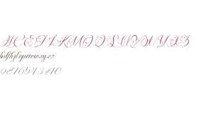 Perfecto Calligraphy - Personal use