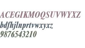 Xerox Serif Narrow Bold Italic