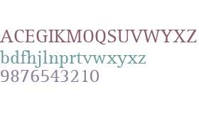 Rotis Serif W01