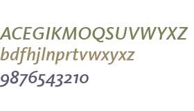 Kievit Medium Italic