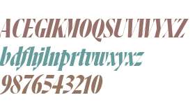 Flecha Bronzea Test L