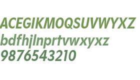 Gosh Trial Bold Cond Italic