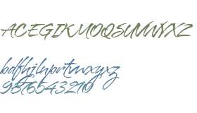 Bravissima Script W00 Reg