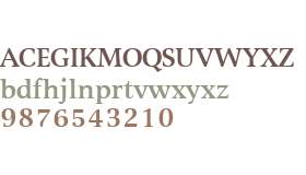 Alinea Serif W03 Medium