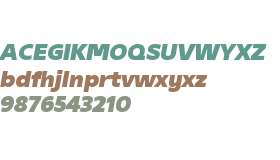 Gelder Sans Test Black Italic