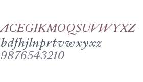 Parnaso Petit Trial Medium It