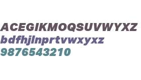 Aktiv Grotesk W01 Black Italic