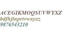 Angsana New Bold Italic V1