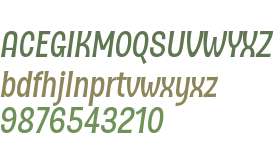 D Sert Alt W01 SemiBold Italic