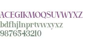 Bilgosia Serif