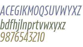 Konsole italic v1.1 TRIAL Cond