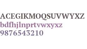 PT Serif W01 Bold