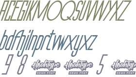 The Orange Demo Italic